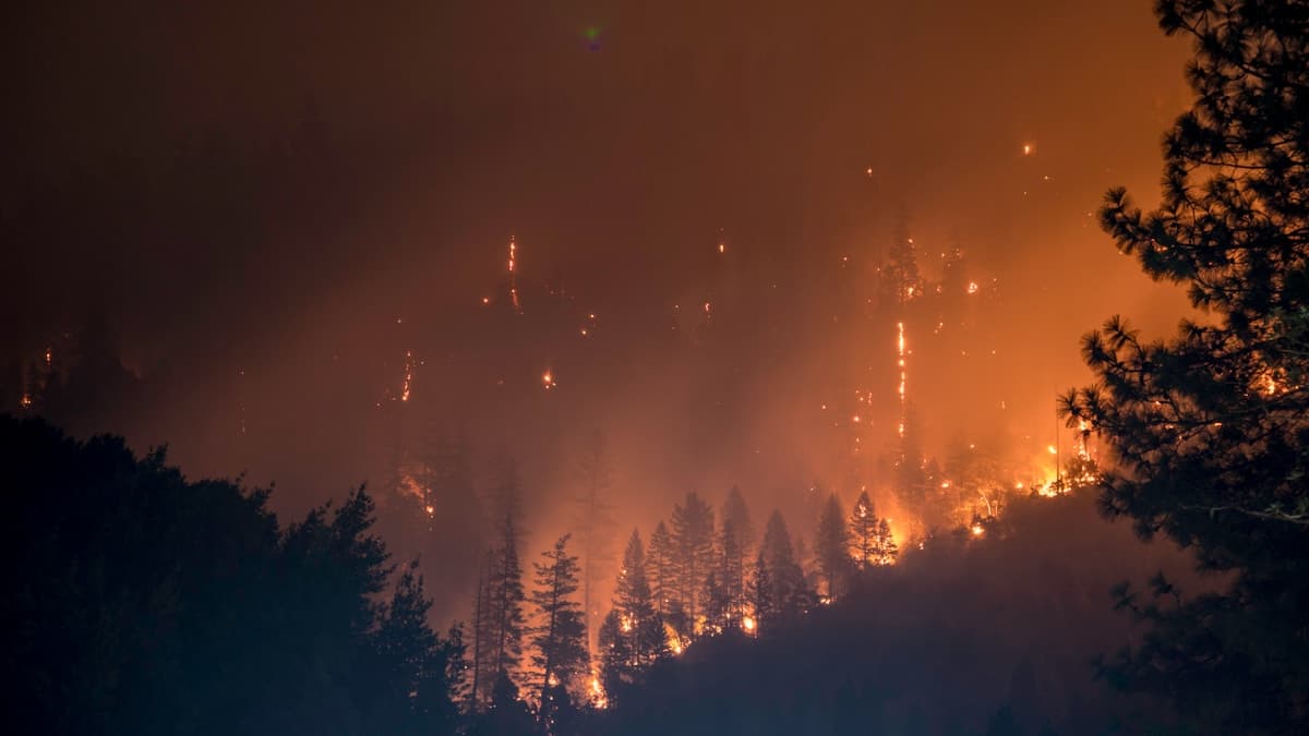 Wildfire smoke rising over a mountainous forest landscape on public lands