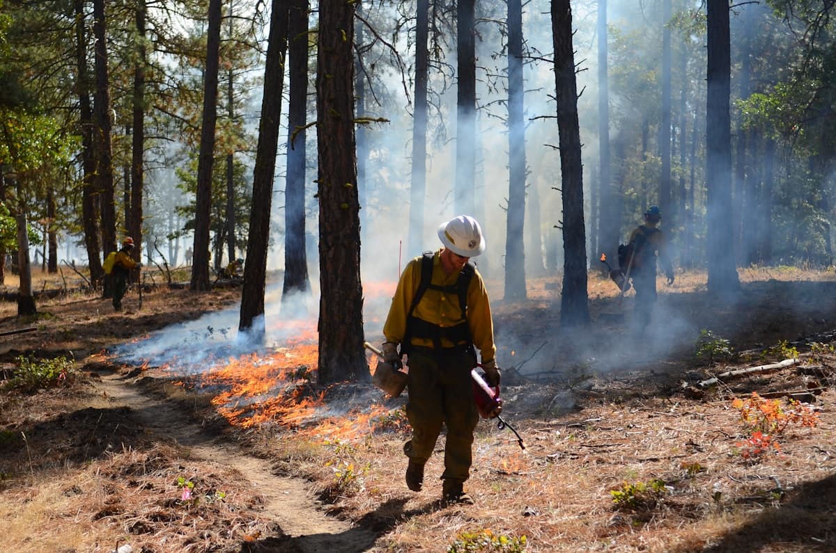 A firefighter walking through a smoky forest during a wildland fire assignment