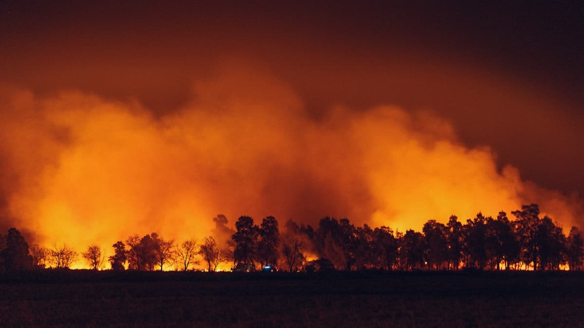 Wildfire burning across a field near a treeline during suppression operations