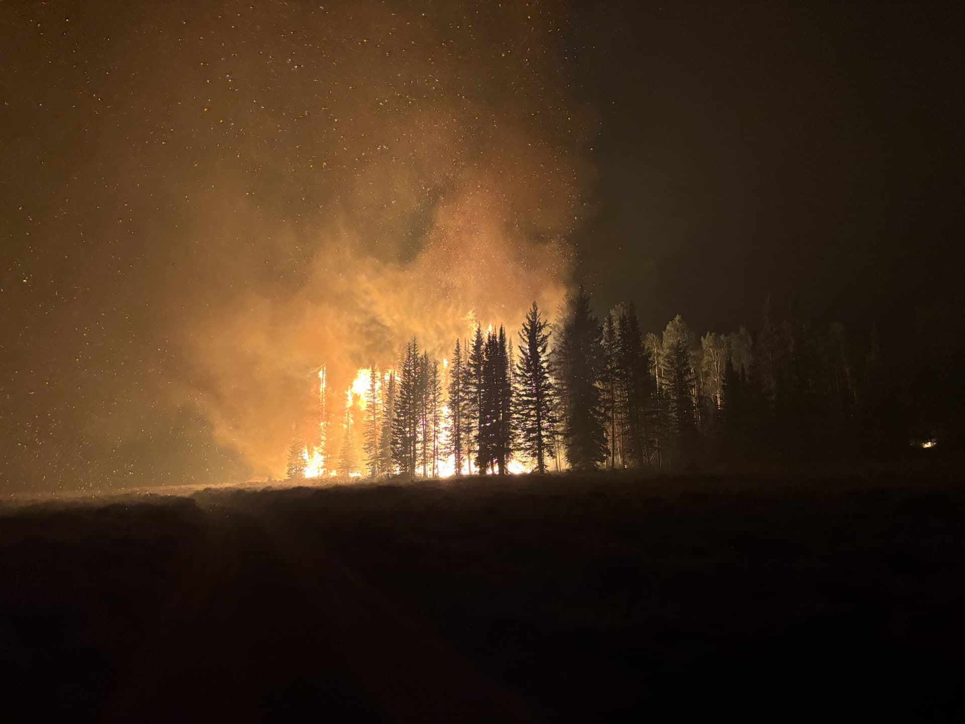 Treeline engulfed in wildfire at night with stars visible